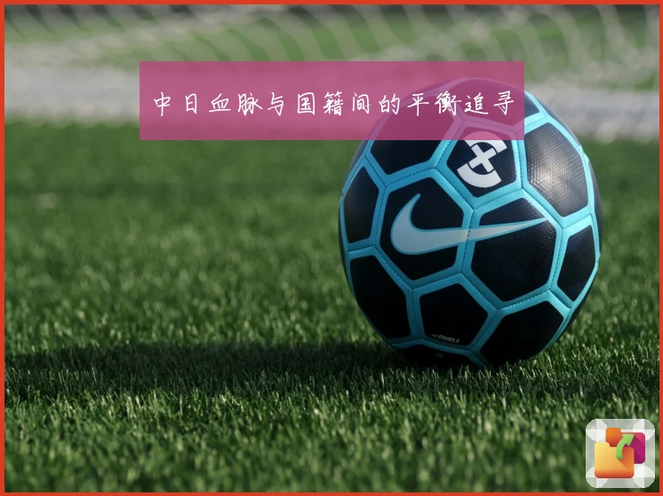 中日血脉与国籍间的平衡追寻