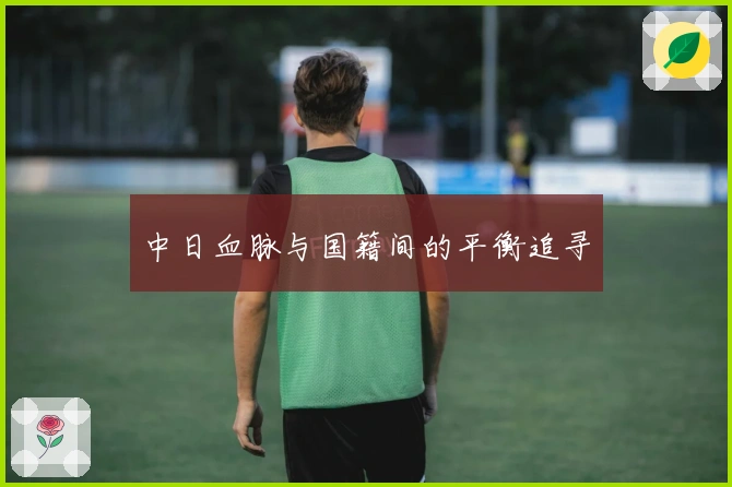 中日血脉与国籍间的平衡追寻